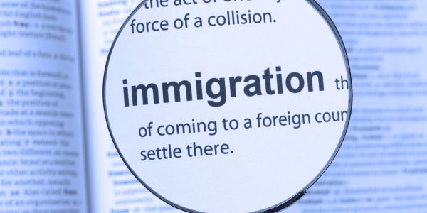 ‘Laat onwettige immigrante huis teo gaan, die is nie hulle huis nie – Gayton Mackenzie