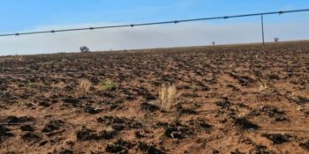 DA versoek tydelike beurtkrag-vrystelling vir brandgeteisterde munisipaliteite