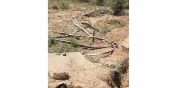 'Kabeldief' in Kimberley in hegtenis geneem