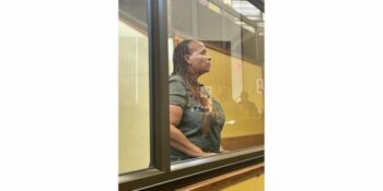 Agnes Setshwantsho se borgaansoek duur voort